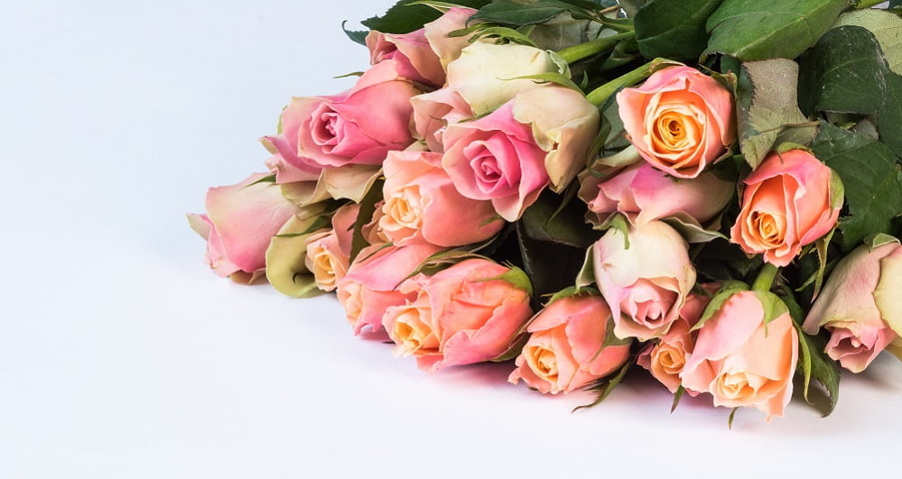 5 Flowers That Conveys Deep Condolence