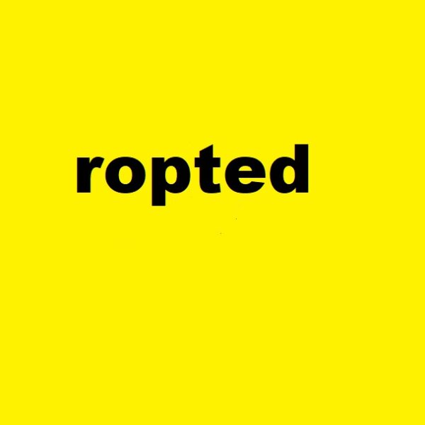 ropted : Rearranged the order of letter 2023