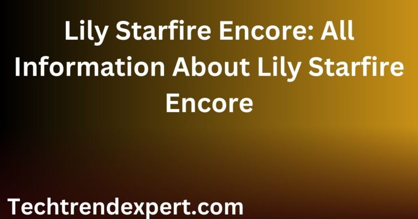 Lily Starfire Encore: All Information About Lily Starfire Encore