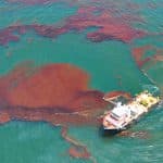 Horizon Oil Spill