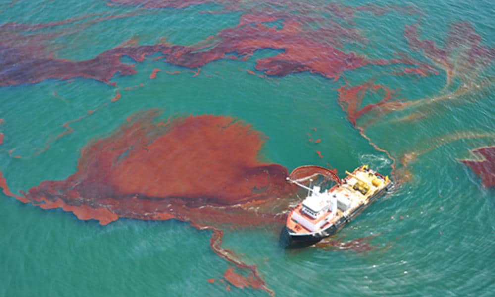 Horizon Oil Spill
